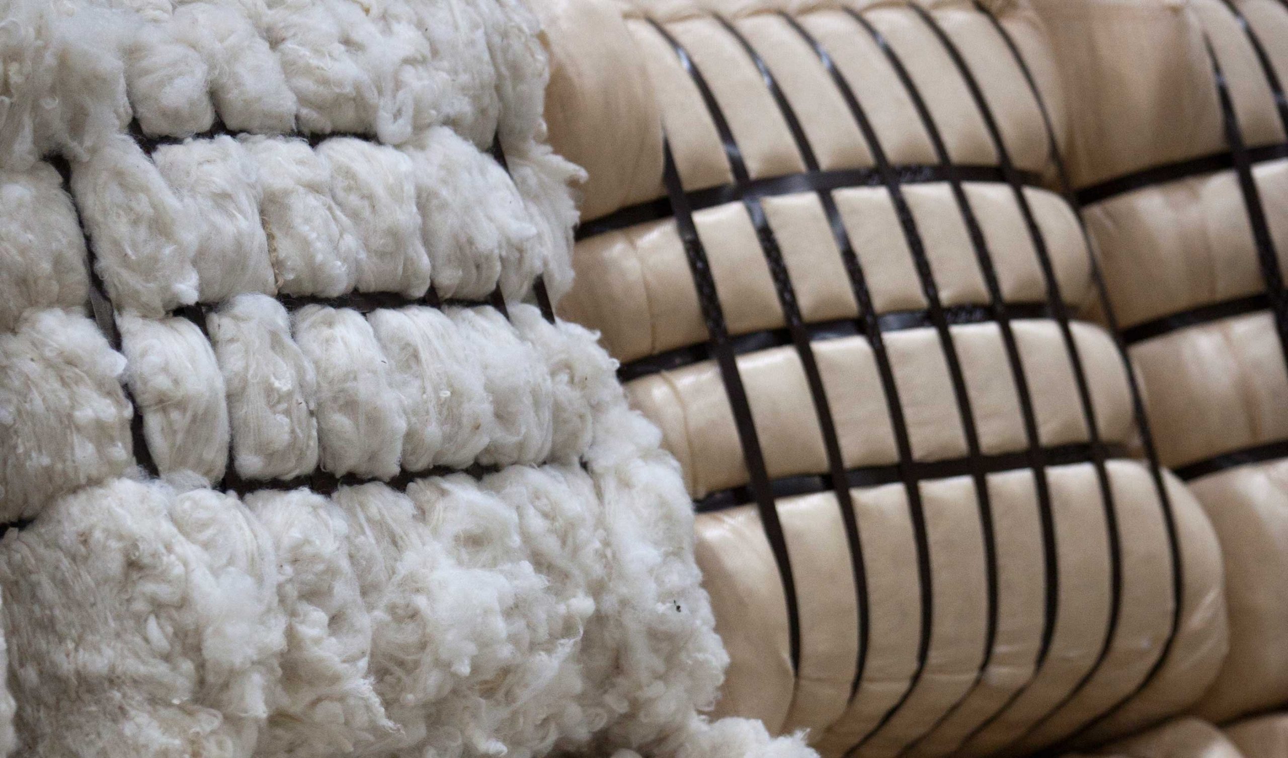 NZ Government releases plan to revitalise wool sector