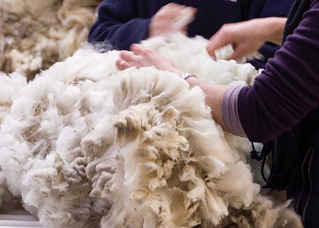 New Zealand Wool Market Report (29 July 2021)
