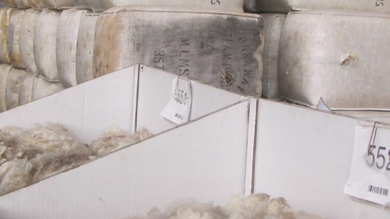 Australian Wool Sales AWI Commentary (6 October 2023)
