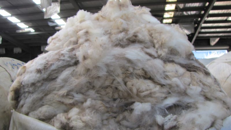 AWI Commentary Australian Wool Sales (11 January 2024)