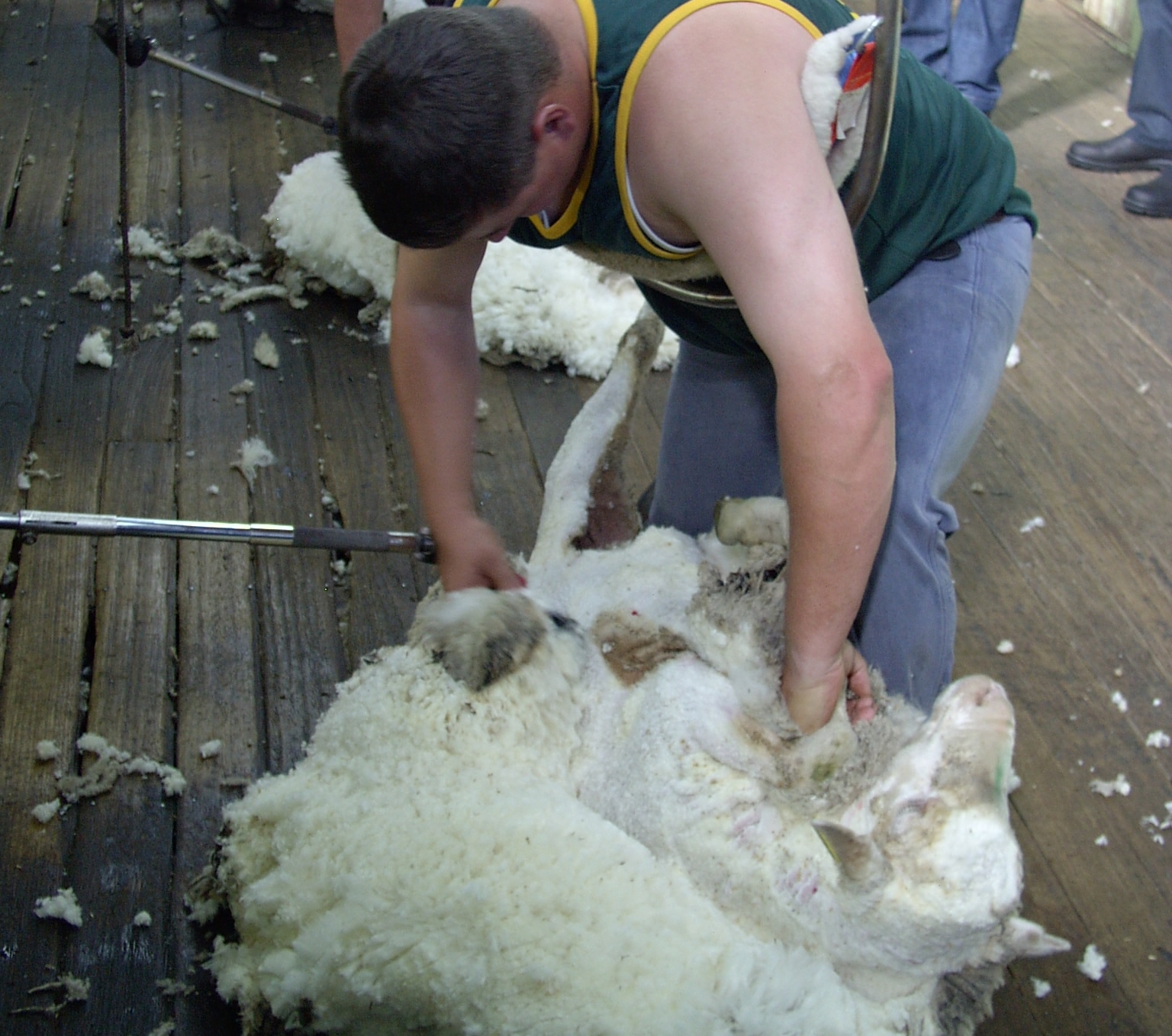 Australian woolgrower levy remains at 1.5%