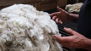 Wool partners with other natural fibres