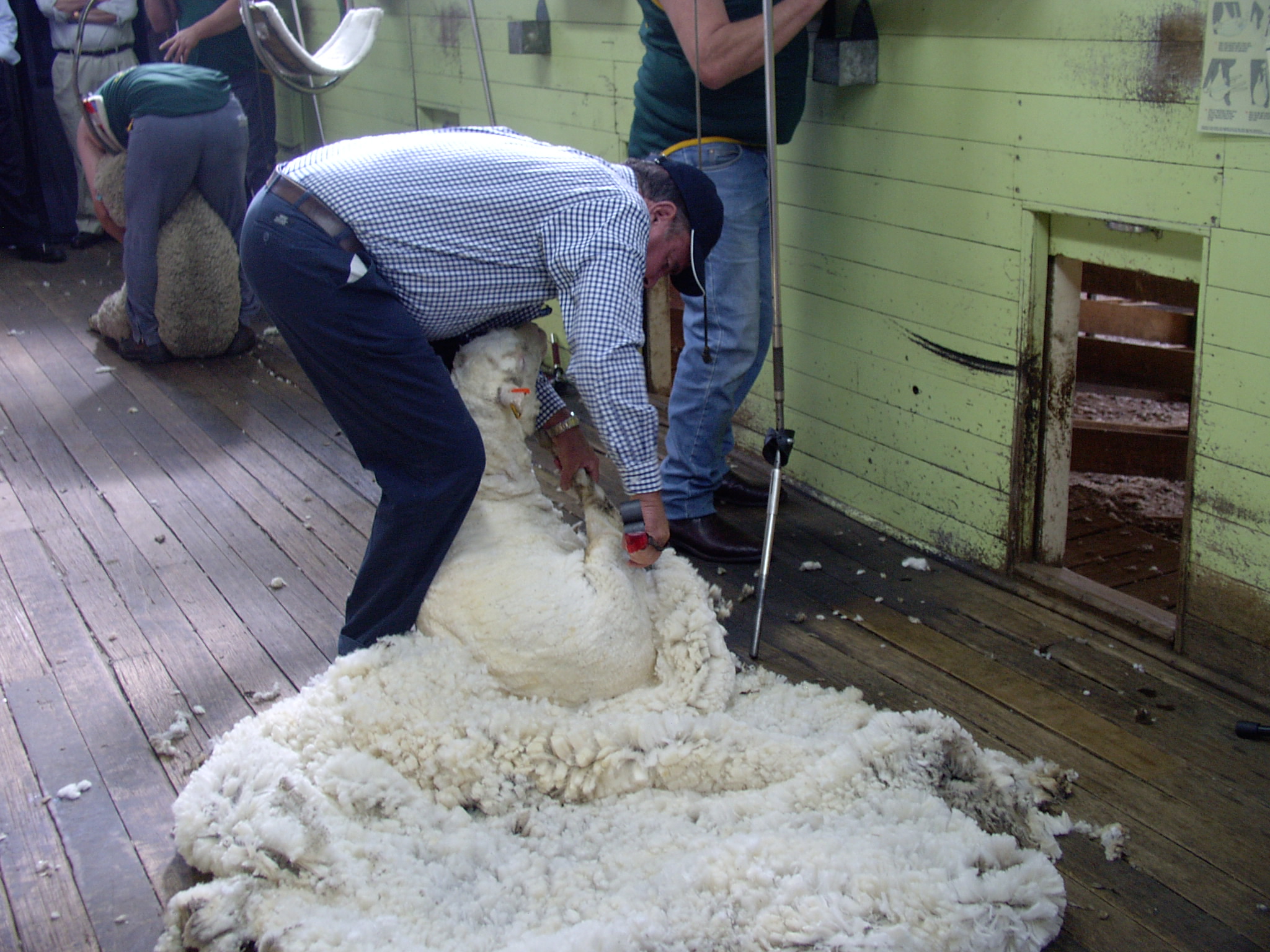 Australian wool market commentary from AWI (15 January 2021)