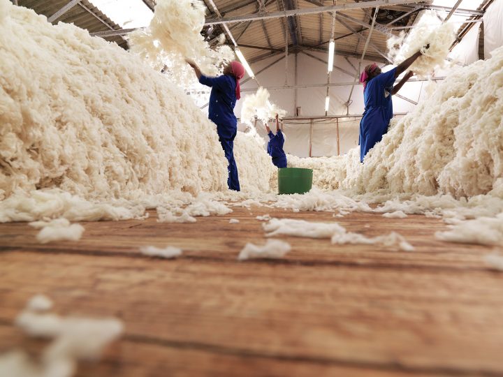 South African Wool Weekly Market Report (1 February 2023)