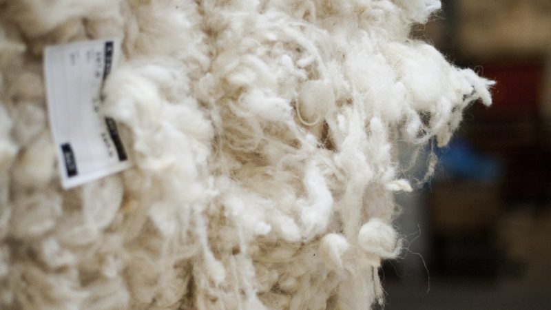 British Wool – Sale Report (BW138 on 22nd February 2022)