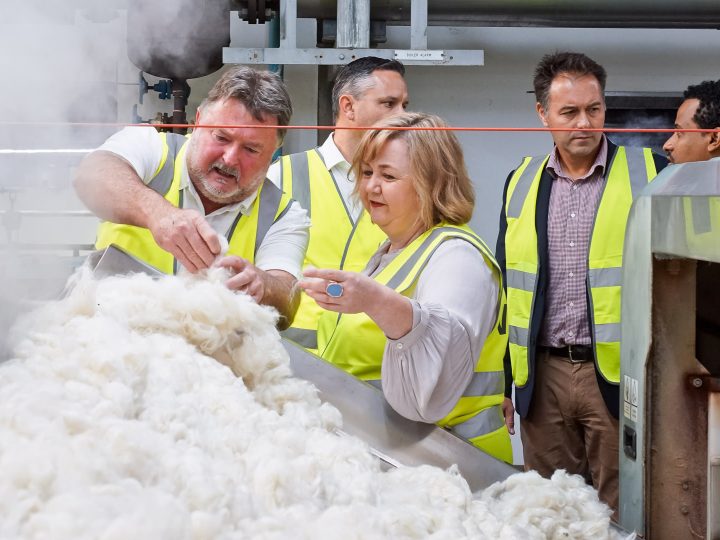 Biggest NZ Woolscourer to decarbonise