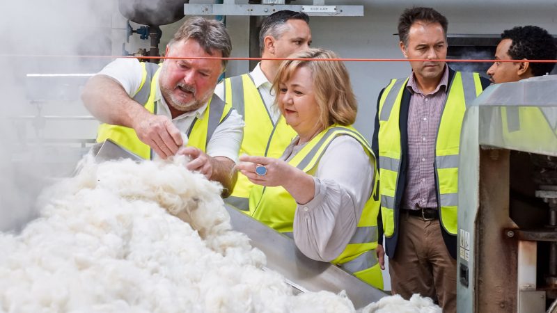 Biggest NZ Woolscourer to decarbonise