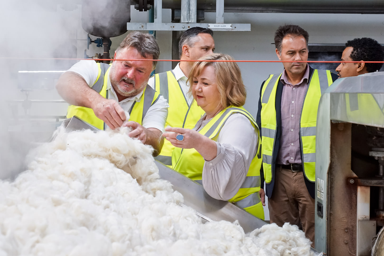 New Zealand WoolWorks commits $2.4 million to support new industry organisation