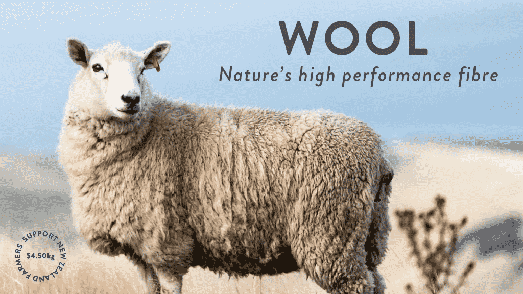 NZ furniture company commits to greater wool use