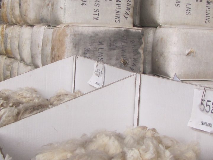 Australian Wool Market Report – AWI Commentary (24 November)