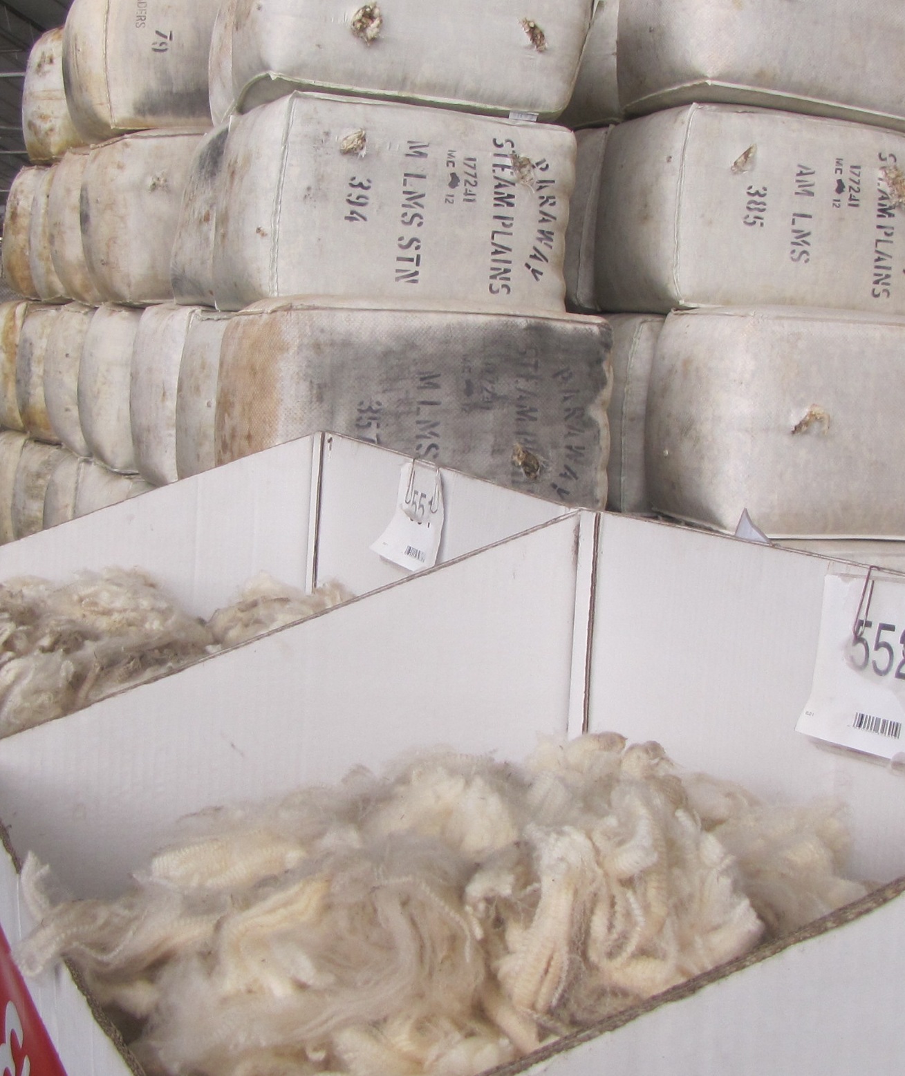 Australian Wool Sales AWI Commentary (6 October 2023)