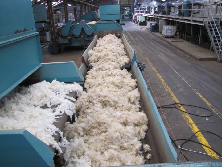Feasibility report on Australia’s early-stage domestic wool processing – risk and benefits