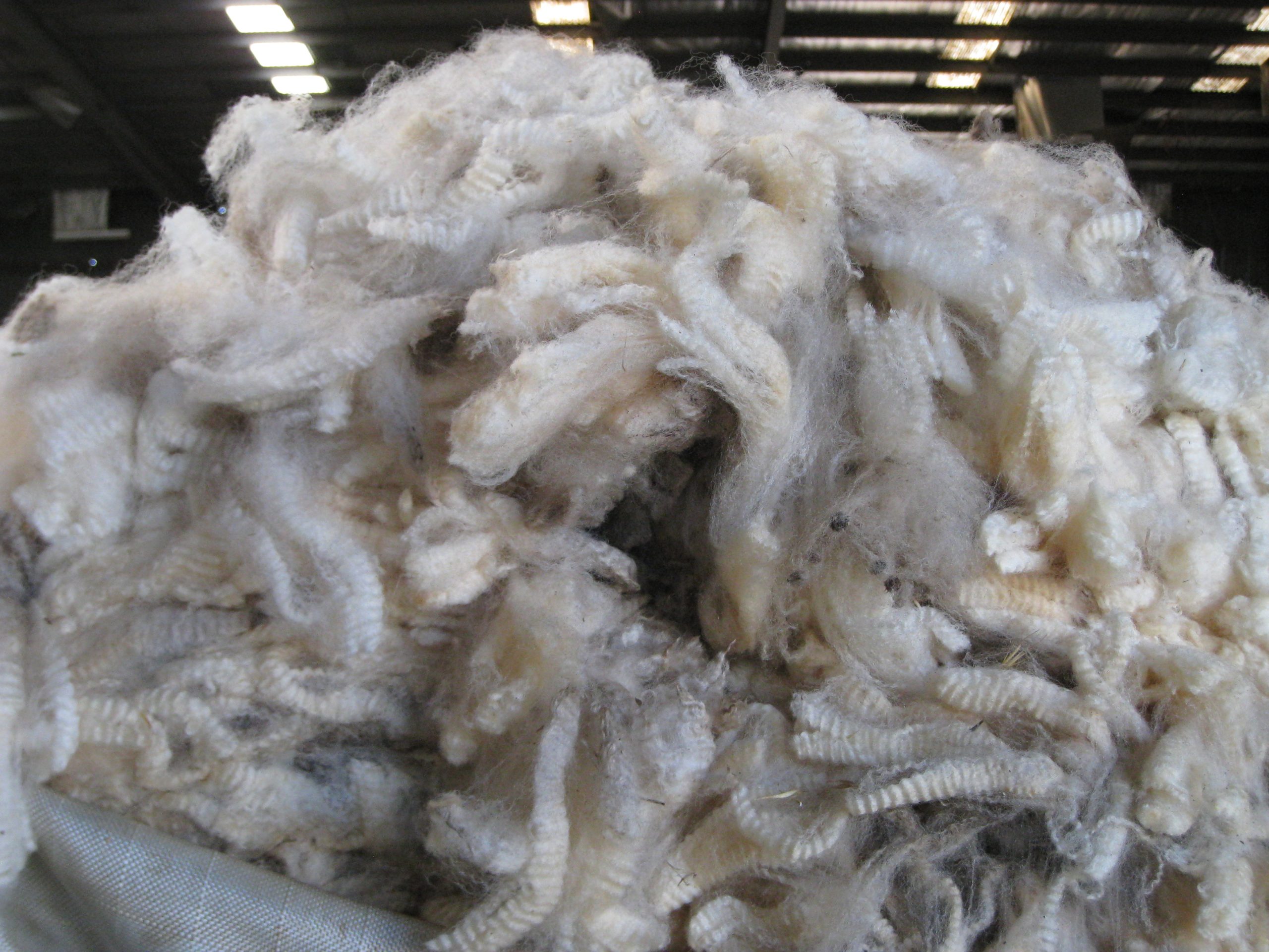 Australian Wool market – AWI Commentary (31 March 2023)