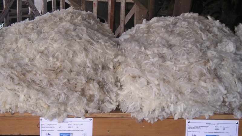 Estancias Puppo S.A March Wool Report