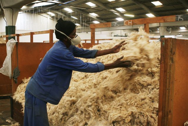 South Africa Wool  Market Report (6/7 February 2024)
