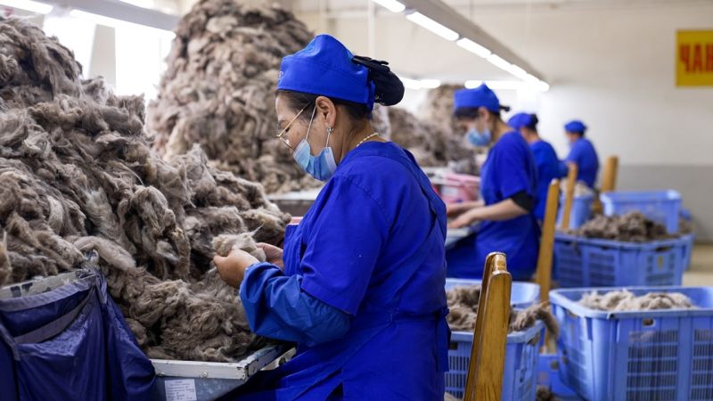 Cashmere demand is threatening Mongolia’s steppe. Can the industry go sustainable?
