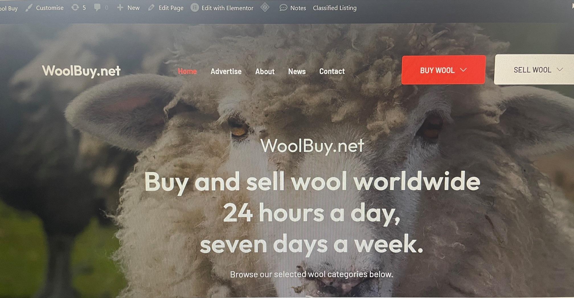New look woolbuy platform goes live