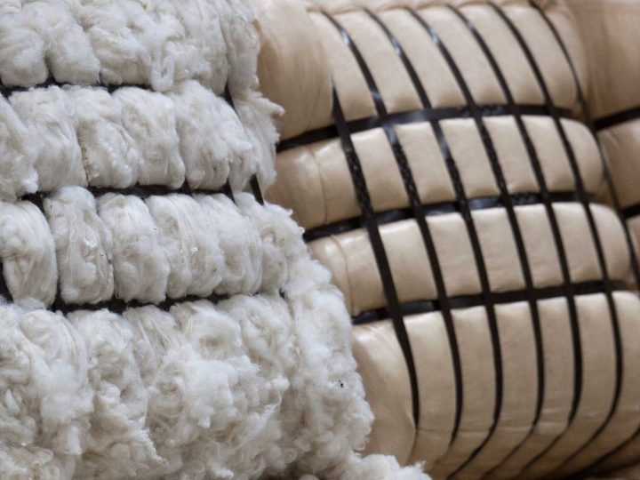 Wools of NZ signs agreement with Chinese carpet maker