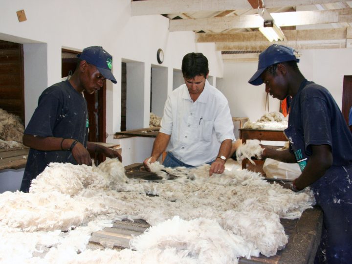 South African Weekly Wool Market Report (29/30 October 2024)