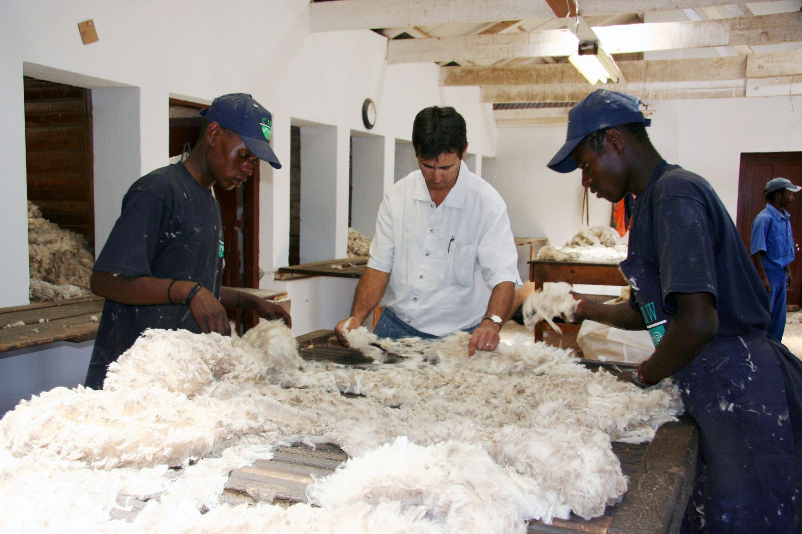 South African Weekly Wool Market Report (29/30 October 2024)